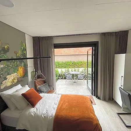 Hotel Sanitatem *
